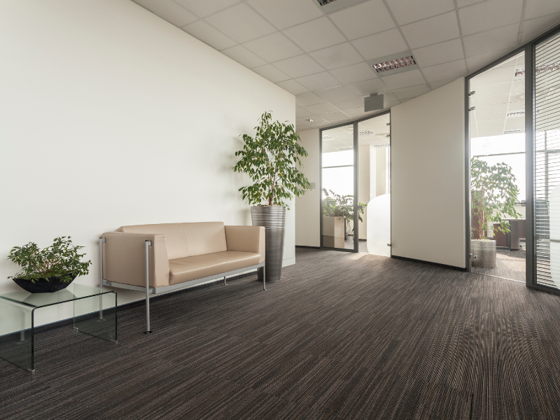 What is the Average Cost of Carpet Cleaning in Oxnard, CA?